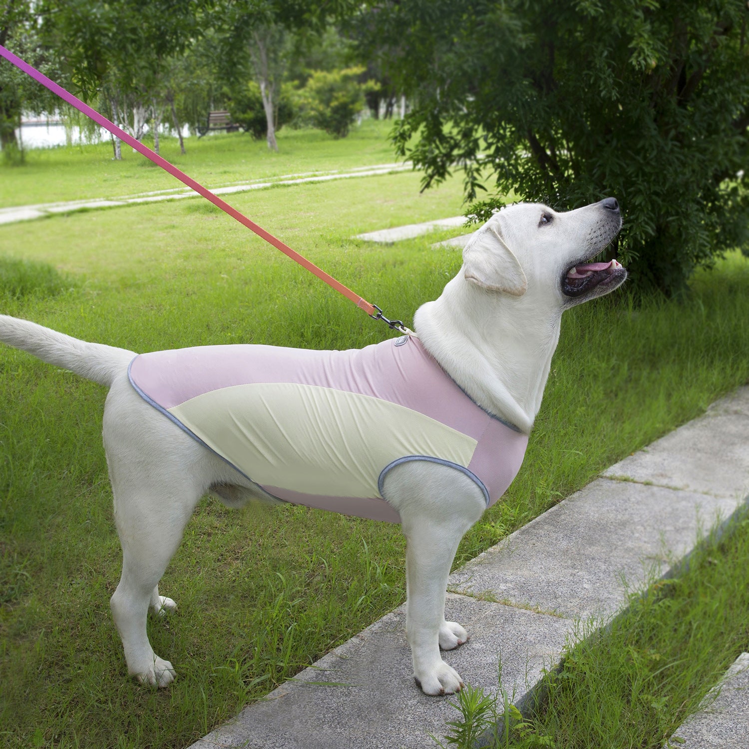 Débardeur rafraîchissant pour chien, anti-UV
