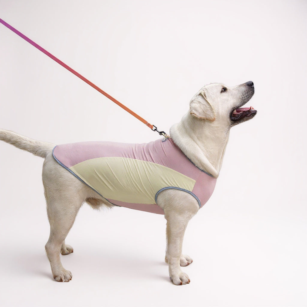 Débardeur rafraîchissant pour chien, anti-UV