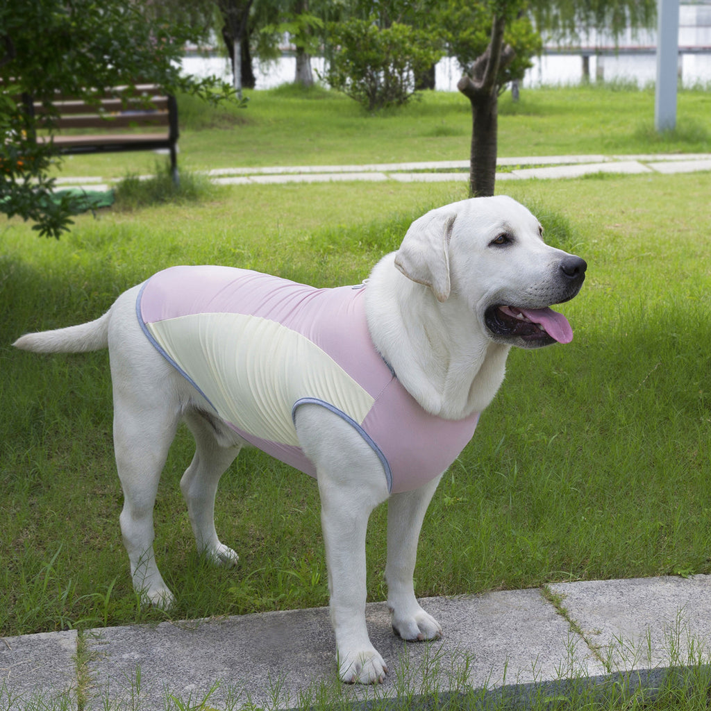 Débardeur rafraîchissant pour chien, anti-UV