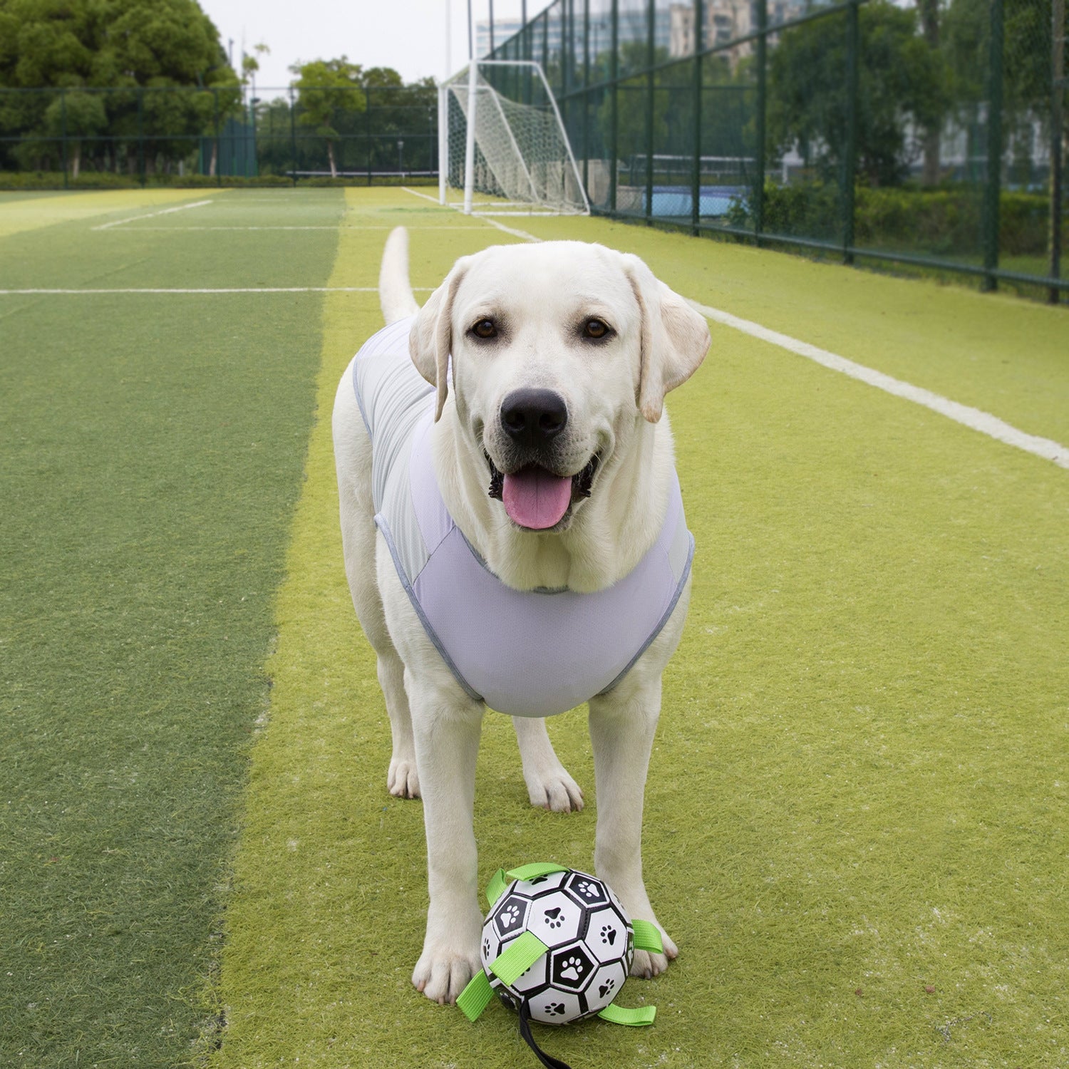 Débardeur rafraîchissant pour chien, anti-UV