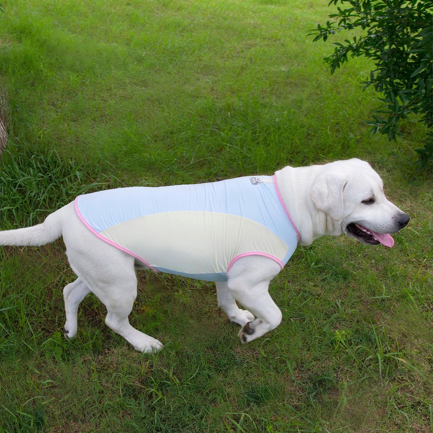 Débardeur rafraîchissant pour chien, anti-UV