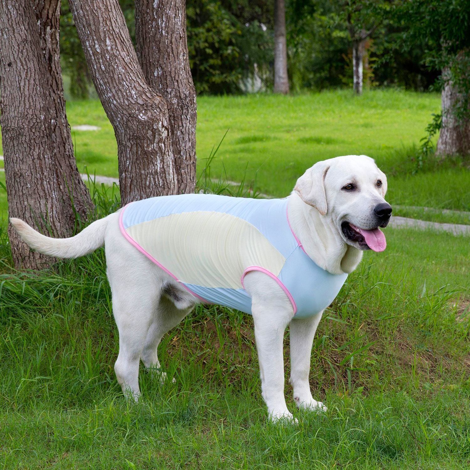 Débardeur rafraîchissant pour chien, anti-UV