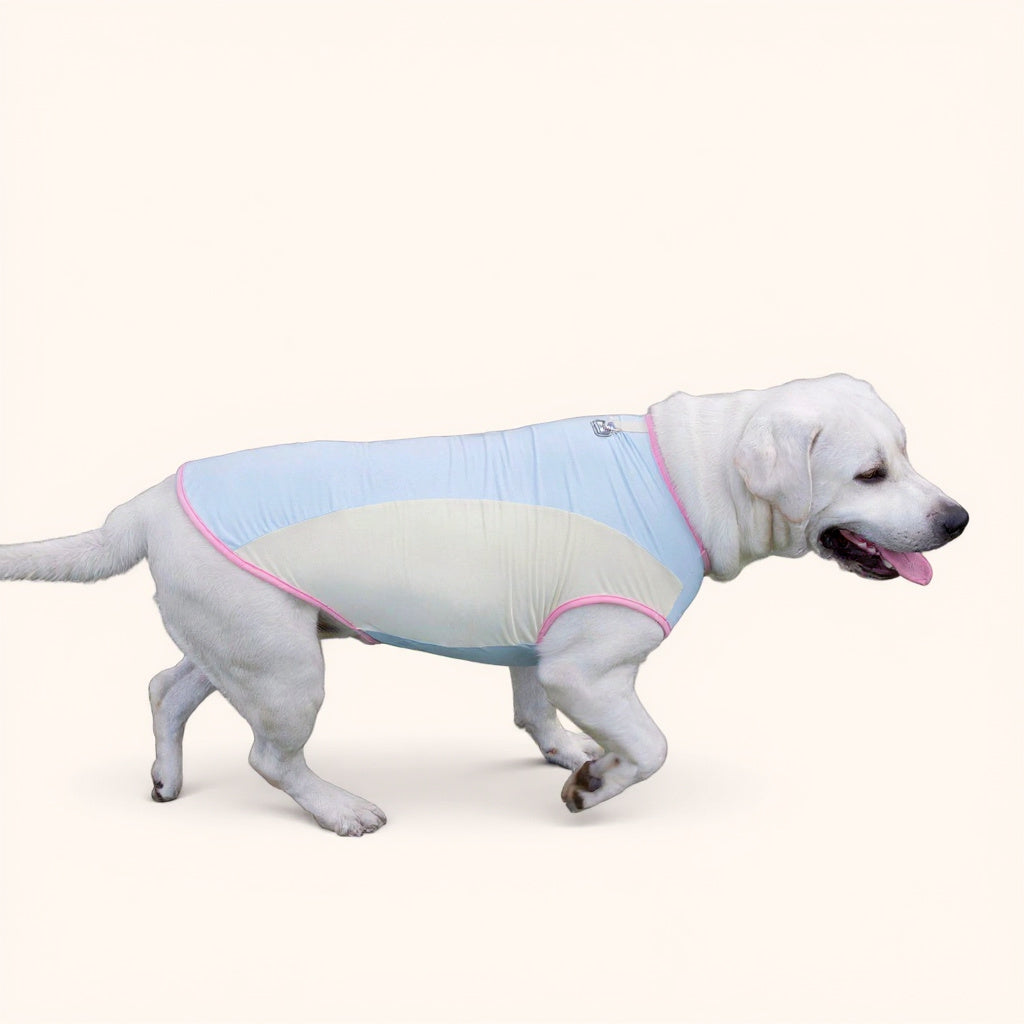 Débardeur rafraîchissant pour chien, anti-UV