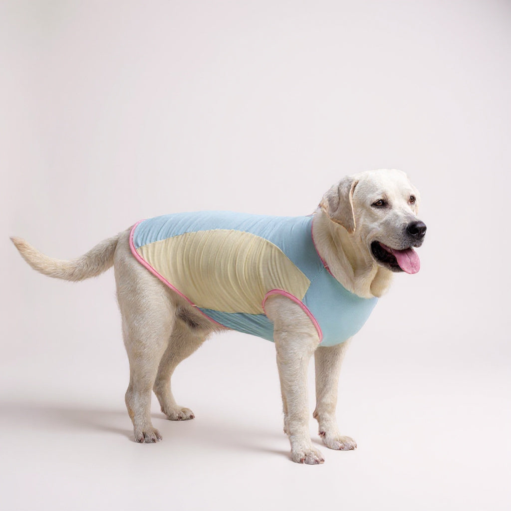 Débardeur rafraîchissant pour chien, anti-UV