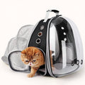 Transparenter Rucksack für Katzen und kleine Hunde, erweiterbare Kapsel