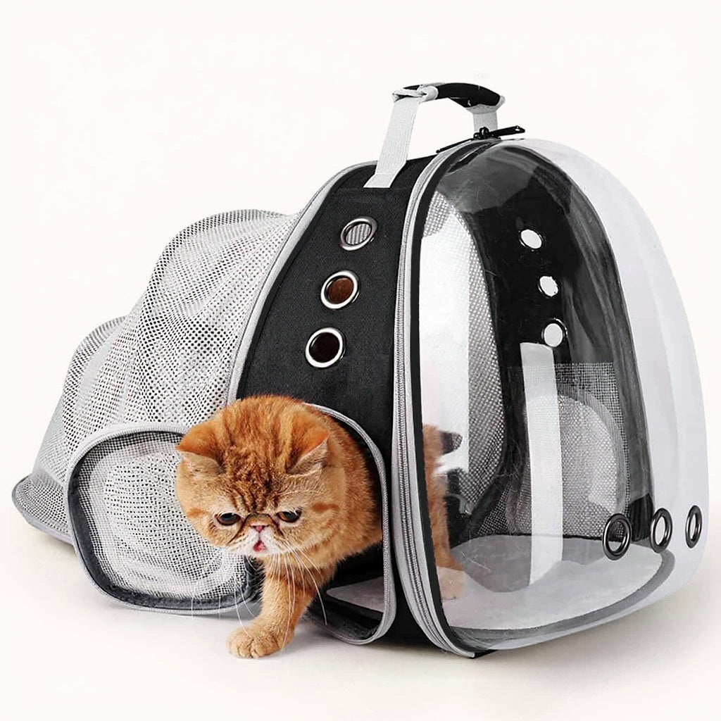 Transparenter Rucksack für Katzen und kleine Hunde, erweiterbare Kapsel