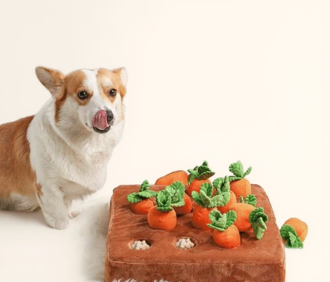 Schnüffelteppich für Hunde, Möhrenfeld (35 cm)